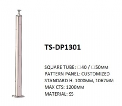 TS-DP1301